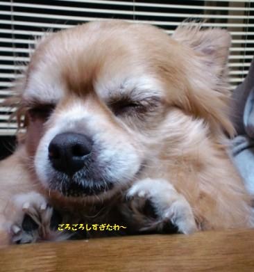 社長.jpg
